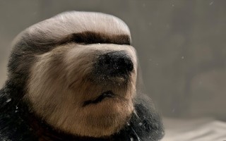 棚拍写真用什么镜头？焦段、光圈、场景怎么选？