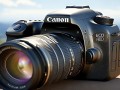 佳能70-200 f/4.0镜头值得入手吗？性能与画质表现如何？