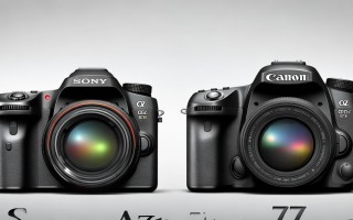 索尼a77与佳能7d