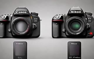 佳能5d和d700