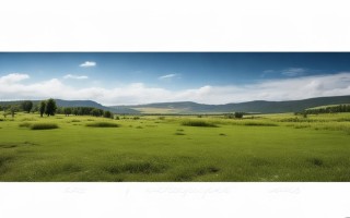 尼康全景镜头有哪些独特拍摄优势与适用场景？