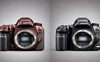 佳能5d mark ii和6d