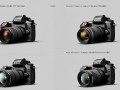 尼康D810与佳能5D3对比，究竟哪个更值得摄影爱好者入手？