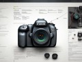 佳能5D Mark II教程，新手如何快速掌握核心拍摄技巧？