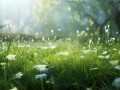 f0.95梦幻镜头，超大光圈如何打造极致梦幻成像？