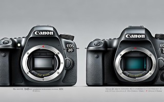 佳能80D与6D2怎么选？性能差异、价格与适用场景怎么比？