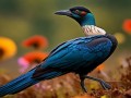 适马150-600mm S版值不值得买？性能与性价比如何？