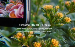 富图宝手机镜头对手机摄影提升大吗？画质与适配性表现如何？