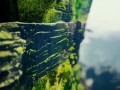 18mm镜头拍全景