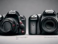 尼康d7100和佳能70d照片对比