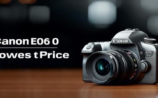 佳能60d最低价是多少？