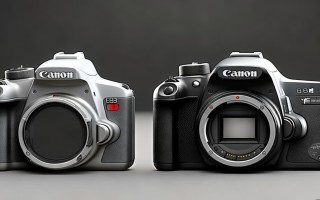 佳能100d和650d