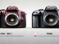 佳能50D与700D，老旗舰与入门机，性能差距该怎么选？