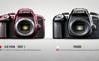 佳能50D与700D，老旗舰与入门机，性能差距该怎么选？